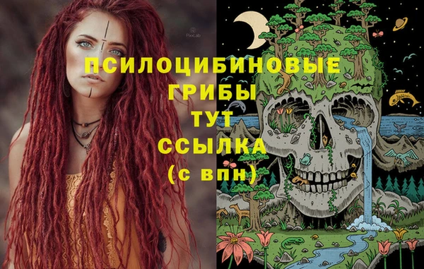 эйфоретик Алексин