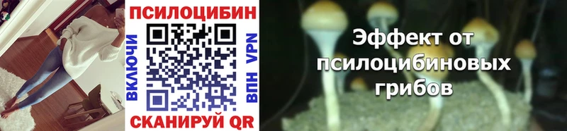 Псилоцибиновые грибы Magic Shrooms  Невинномысск 