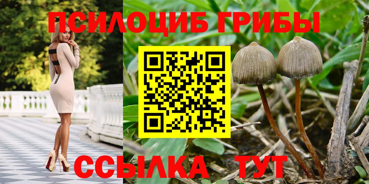 Галлюциногенные грибы MAGIC MUSHROOMS  Вход с VPN  Невинномысск 
