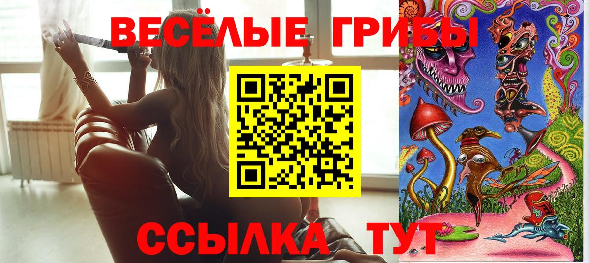 Галлюциногенные грибы Psilocybine cubensis Невинномысск